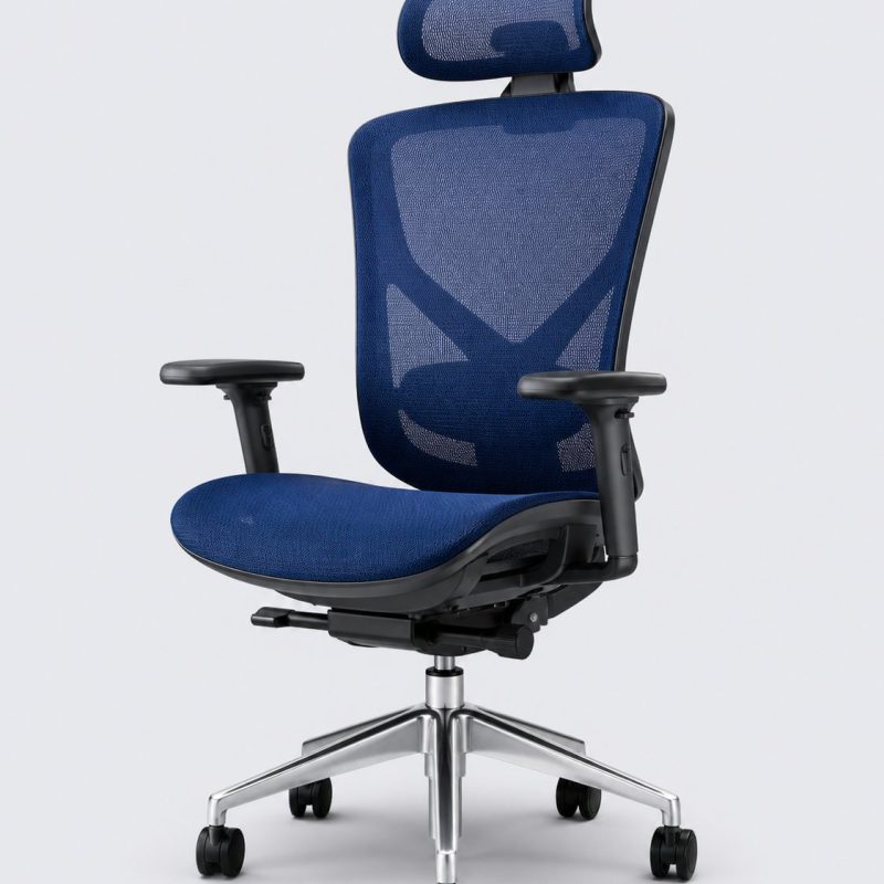 Silla ergonómica Vela Azul
